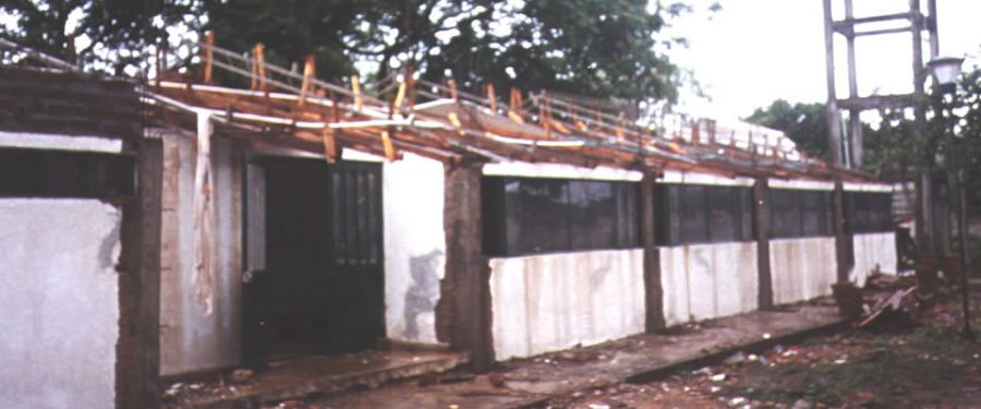 Consultoría